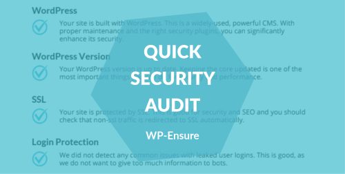 A snapshot of a report with checks for website security and an overlay with text reading Quick Security Audit - WP-Ensure.